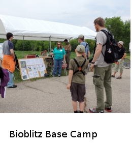 (Photo at Bioblitz Base Camp ...) 