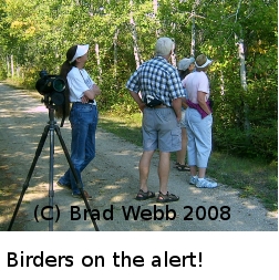 (Photo of birders on our walk ...) 