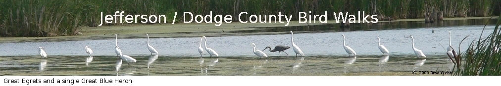 Jefferson / Dodge County Bird Walks