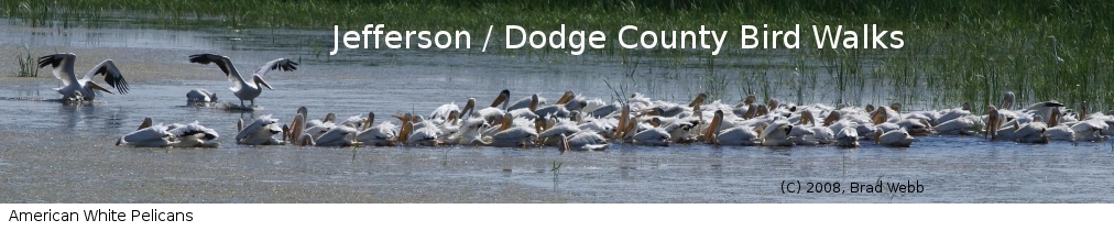 Jefferson / Dodge County Bird Walks