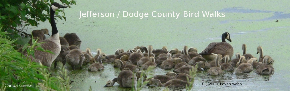 Jefferson / Dodge County Bird Walks