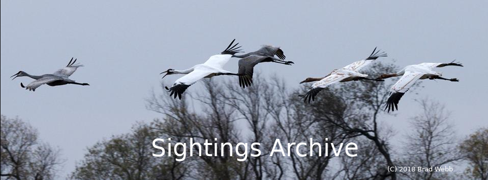 Jefferson / Dodge County Bird Walks Archive